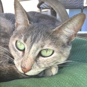 Meet your Posher, Gio